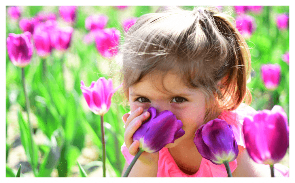 Preparing for Spring Pollen, Before Your Eczema Feels It